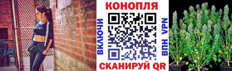 Где купить Калининец Cocaine  Гашиш  NBOMe  Каннабис  АМФ 