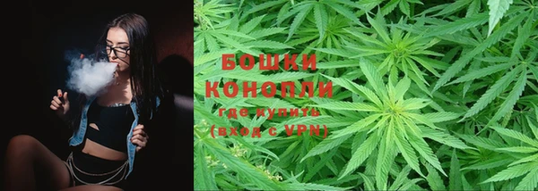ПСИЛОЦИБИНОВЫЕ ГРИБЫ Армянск